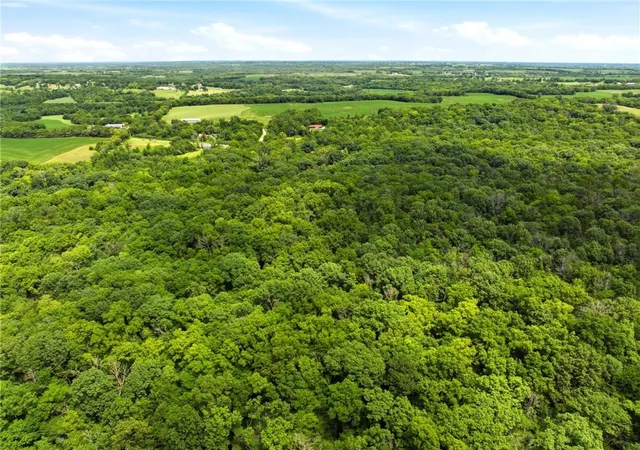 Photo 5 of Land for sale at 14710 County Rd 337, Savannah, MO 64485 | MLS# 2630821 | Listing updated on 2026-08-26