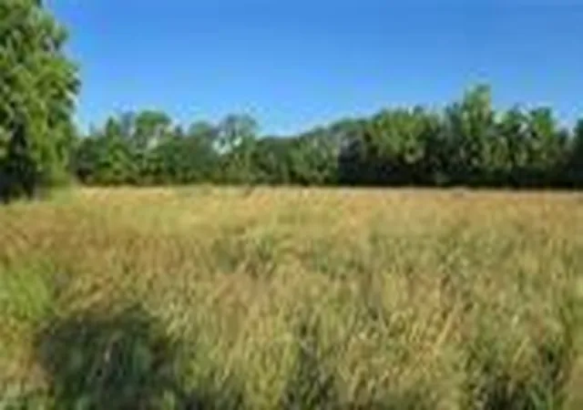 1st image of Fulks Rd, Oak Grove, MO 64075 | MLS# 2630838