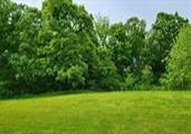 1st image of Lot 19 Tbd Se Holstein Dr, Oak Grove, MO 64075 | MLS# 2630840