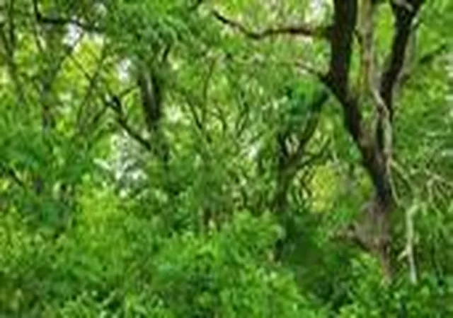 2nd image of Lot 19 Tbd Se Holstein Dr, Oak Grove, MO 64075 | MLS# 2630840