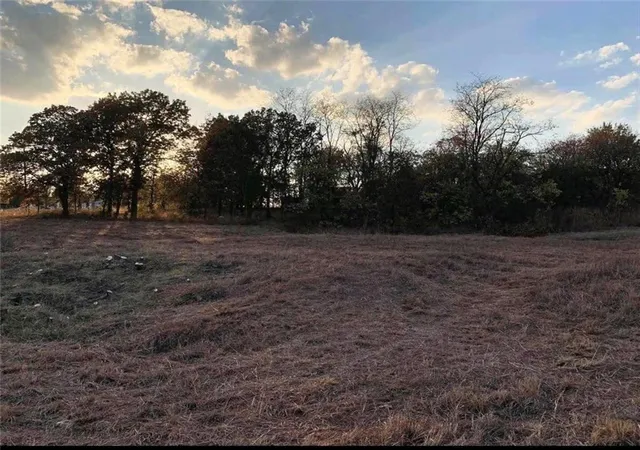 1st image of 203 W Vine St, Galena, KS 66739 | MLS# 2631255