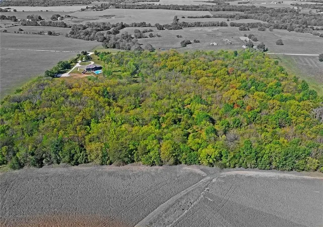 3rd image of Tract A Shaw School Rd, Odessa, MO 64076 | MLS# 2631629