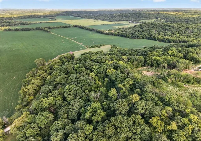 26th image of 15086 Hartman Rd, Rayville, MO 64084 | MLS# 2631644