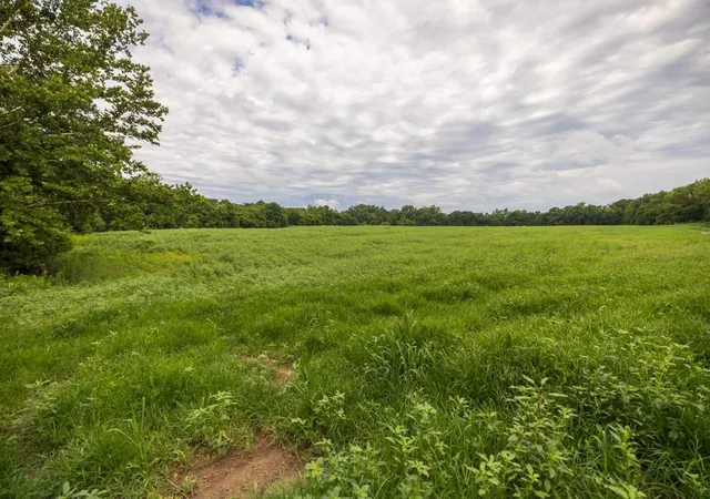 24th image of Lot 2 Nw 188th St, Holt, MO 64048 | MLS# 2631842