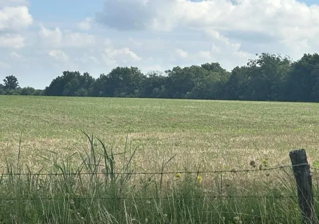 Photo 1 of Sale Pending at Talley Bnd Rd, Moundville, MO 64771 | MLS# 2631868 | Listing updated on 2026-07-24