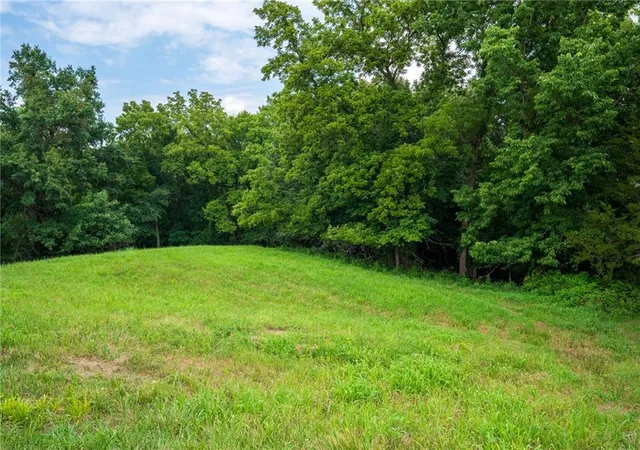 Photo 3 of Land for sale at Lot 2667 Mooney Dr, Gallatin, MO 64640 | MLS# 2631898 | Listing updated on 2026-07-20