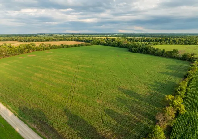 2nd image of Tbd Ne 500Th Rd, Warrensburg, MO 64093 | MLS# 2632047