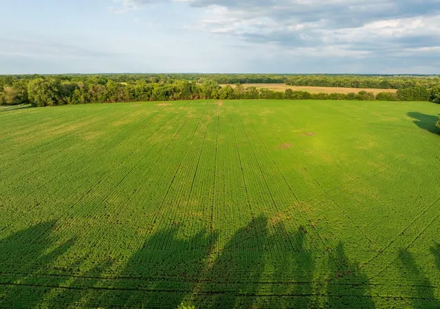 5th image of Tbd Ne 500Th Rd, Warrensburg, MO 64093 | MLS# 2632047