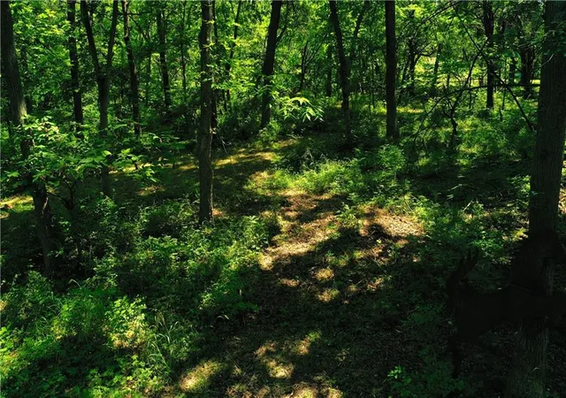 19th image of 10188 State Route 7 Hwy, Lees Summit, MO 64086 | MLS# 2632076