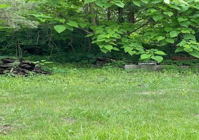 Photo 1 of Land for sale at Wall St, Altamont, MO 64620 | MLS# 2632452 | Listing updated on 2026-07-23