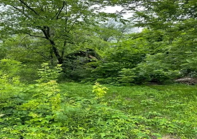 Photo 4 of Land for sale at Wall St, Altamont, MO 64620 | MLS# 2632452 | Listing updated on 2026-07-23