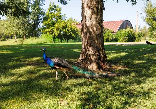 61st image of 599 Kanza Rd, Yates Center, KS 66783 | MLS# 2632788