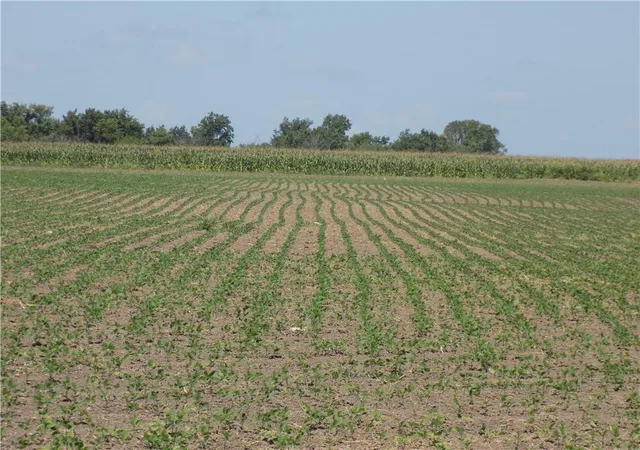 Photo 3 of Land for sale at 00000 SE 900 Road, Kincaid, KS 66039 | MLS# 2632910 | Listing updated on 2026-09-01