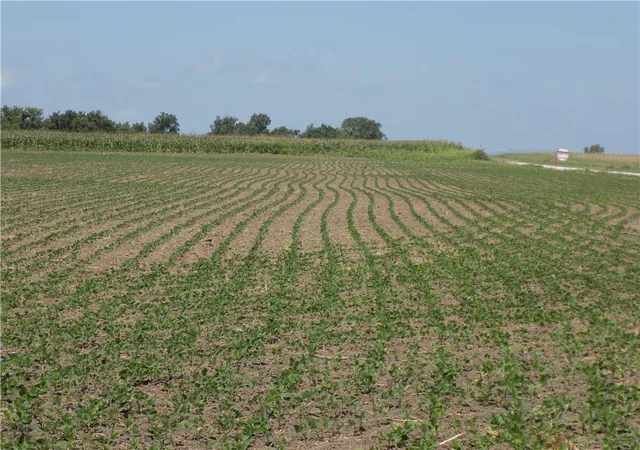 Photo 4 of Land for sale at 00000 SE 900 Road, Kincaid, KS 66039 | MLS# 2632910 | Listing updated on 2026-09-01