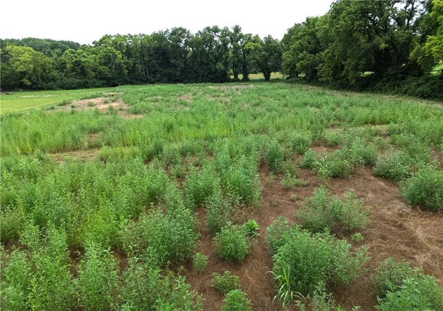 5th image of 21201 E Blue Mills Rd, Independence, MO 64058 | MLS# 2632945