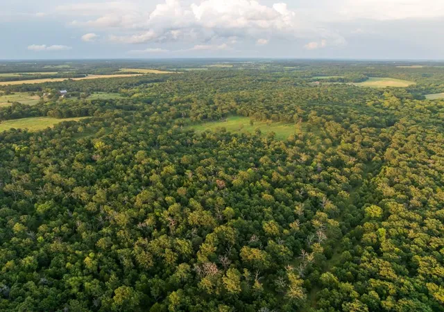 Photo 3 of Land for sale at Ne 100th Road, Lamar, MO 64759 | MLS# 2633082 | Listing updated on 2026-09-04