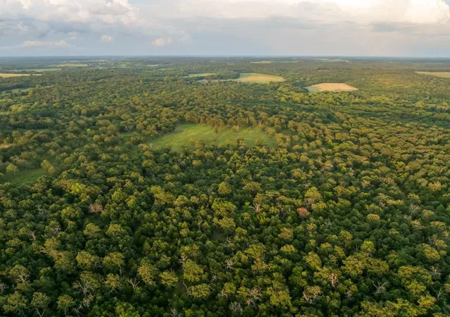 Photo 3 of Land for sale at NE 100th Road, Lamar, MO 64759 | MLS# 2633082 | Listing updated on 2026-09-04