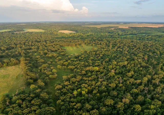Photo 4 of Land for sale at NE 100th Road, Lamar, MO 64759 | MLS# 2633082 | Listing updated on 2026-09-04