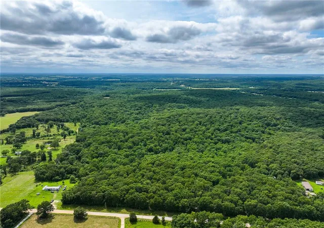 Photo 4 of Land for sale at 0000 SE 1151 Road, Collins, MO 64738 | MLS# 2633145 | Listing updated on 2026-07-23