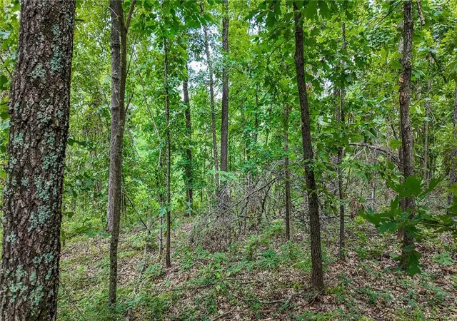 20th image of 1825 Ne 251 Rd, Osceola, MO 64776 | MLS# 2633163