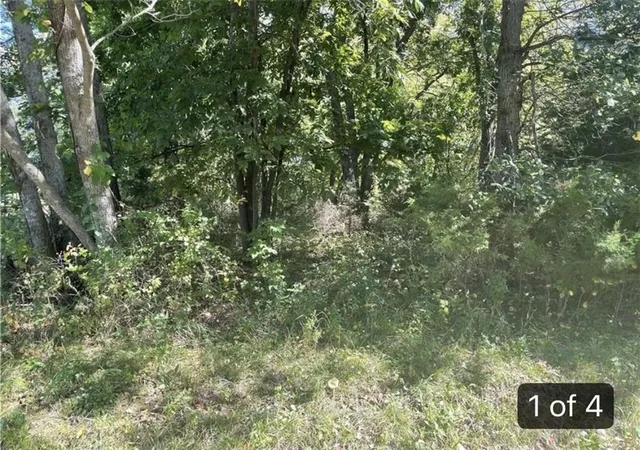 Photo 2 of Land for sale at Lot 2701 Fox Rd, Altamont, MO 64620 | MLS# 2633346 | Listing updated on 2026-07-25