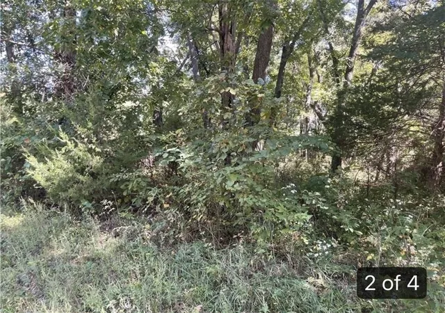 Photo 3 of Land for sale at Lot 2701 Fox Rd, Altamont, MO 64620 | MLS# 2633346 | Listing updated on 2026-07-25