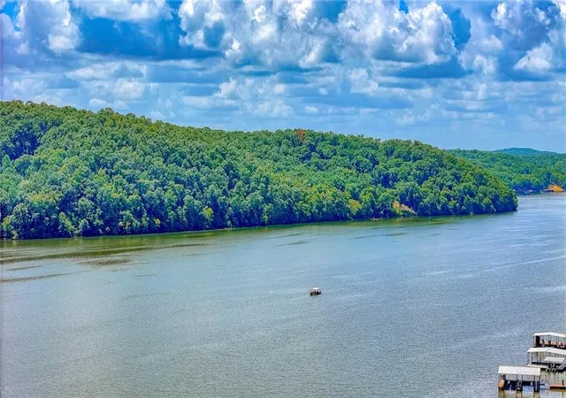 95th image of 33260 Golden Acres Rd, Lincoln, MO 65338 | MLS# 2633540