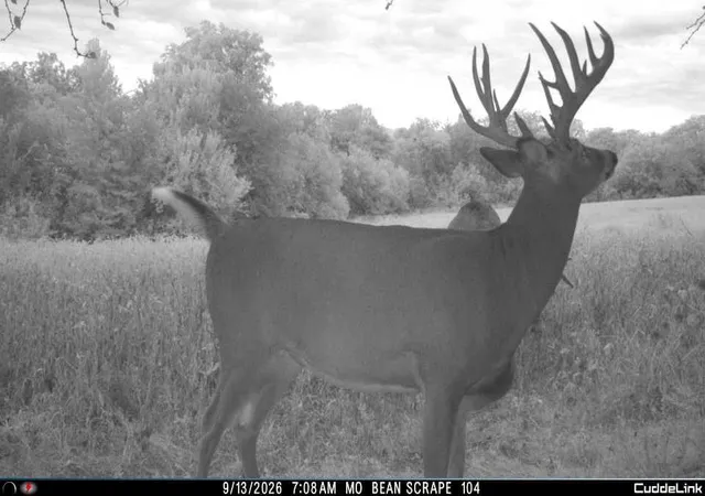 Photo 1 of Land for sale at 0000 F Hwy, Sheridan, MO 64486 | MLS# 2633547 | Listing updated on 2026-10-10