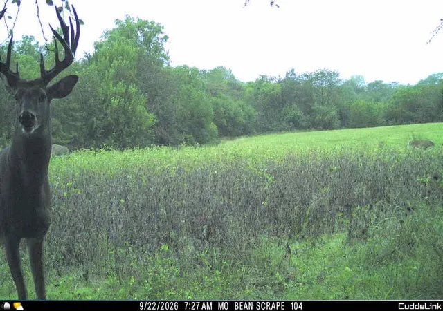 Photo 3 of Land for sale at 0000 F Hwy, Sheridan, MO 64486 | MLS# 2633547 | Listing updated on 2026-10-10