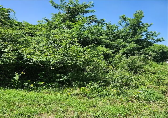2nd image of 65 Pheasant Run, La Cygne, KS 66040 | MLS# 2633562
