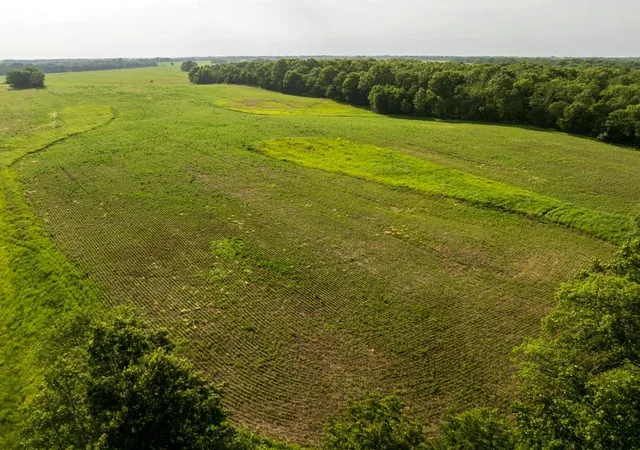 Photo 4 of Land for sale at Cr 330 Rd, Hale, MO 64643 | MLS# 2633574 | Listing updated on 2026-07-26