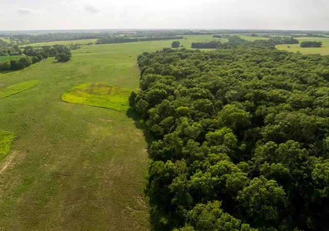 Photo 5 of Land for sale at Cr 330 Rd, Hale, MO 64643 | MLS# 2633574 | Listing updated on 2026-07-26