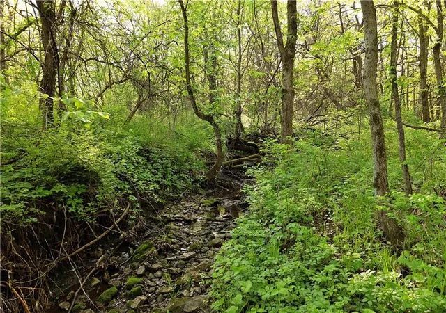 Photo 3 of Land for sale at Tbd Key Ave, Gallatin, MO 64640 | MLS# 2633809 | Listing updated on 2026-09-01