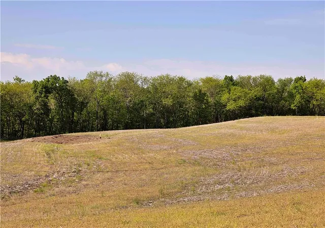 Photo 43 of Land for sale at Tbd Key Ave, Gallatin, MO 64640 | MLS# 2633809 | Listing updated on 2026-09-01