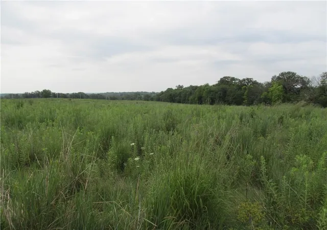 Photo 2 of Land for sale at 0001 Pp Hwy, Pattonsburg, MO 64670 | MLS# 2634096 | Listing updated on 2026-07-30