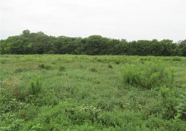 Photo 4 of Land for sale at 0001 Pp Hwy, Pattonsburg, MO 64670 | MLS# 2634096 | Listing updated on 2026-07-30