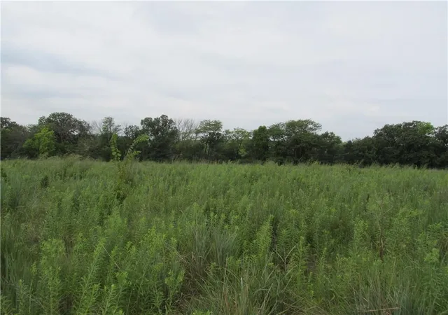 Photo 3 of Land for sale at 0002 Pp Hwy, Pattonsburg, MO 64670 | MLS# 2634111 | Listing updated on 2026-07-30