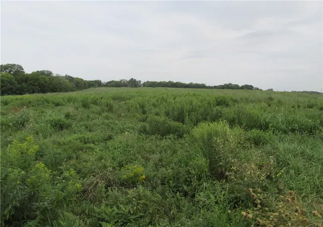 Photo 5 of Land for sale at 0002 Pp Hwy, Pattonsburg, MO 64670 | MLS# 2634111 | Listing updated on 2026-07-30