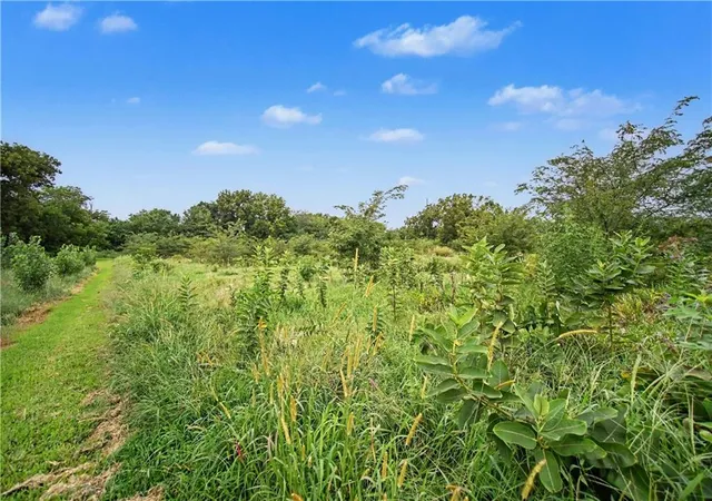 4th image of 20136 Antioch Rd, Bucyrus, KS 66013 | MLS# 2634295
