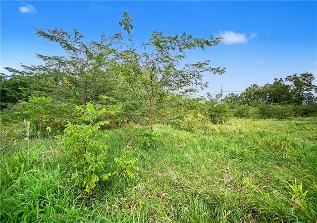 5th image of 20136 Antioch Rd, Bucyrus, KS 66013 | MLS# 2634295