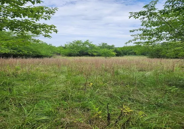 2nd image of Tbd East 301st St, Drexel, MO 64742 | MLS# 2634423
