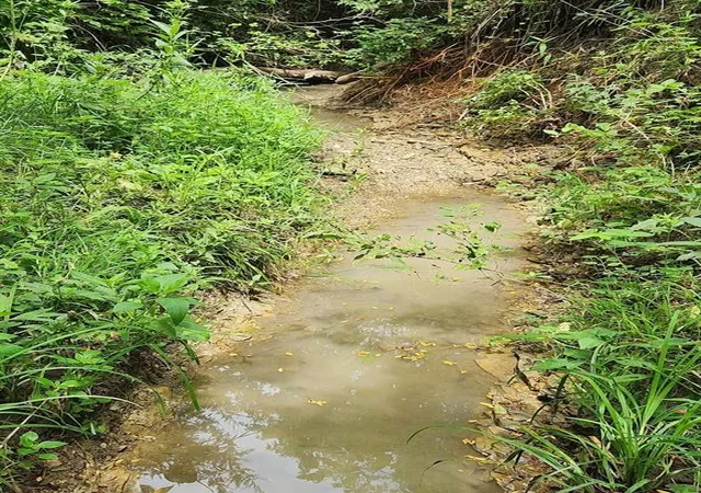 Photo 4 of Land for sale at Tbd East 301st St, Drexel, MO 64742 | MLS# 2634423 | Listing updated on 2026-08-28