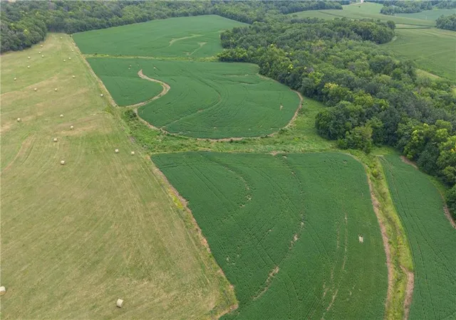 Photo 3 of Land for sale at 7705 Steep Hl Dr, Odessa, MO 64076 | MLS# 2634505 | Listing updated on 2026-09-18