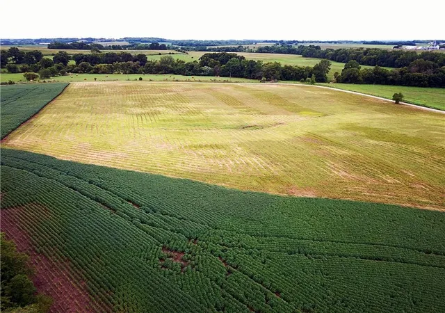 5th image of Liv 423 N/A, Dawn, MO 64638 | MLS# 2634570