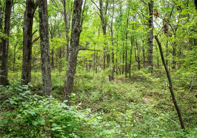 Photo 3 of Land for sale at 0000 E 660th Avenue, Mulberry, KS 66756 | MLS# 2634859 | Listing updated on 2026-08-18
