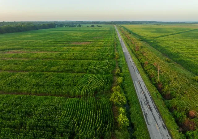 5th image of Tbd C Hwy, Dawn, MO 64638 | MLS# 2634943