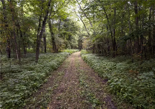 4th image of Fire Branch Rd, Rayville, MO 64084 | MLS# 2634955