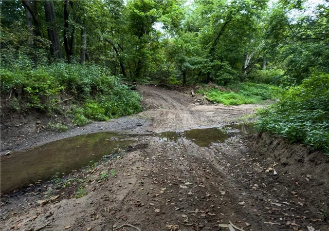 5th image of Fire Branch Rd, Rayville, MO 64084 | MLS# 2634955