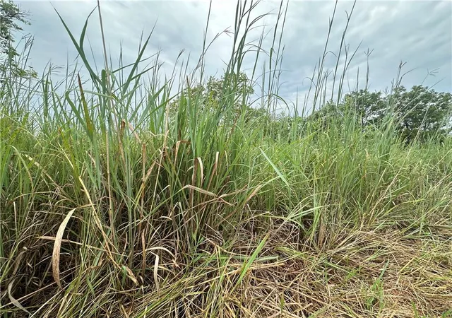 Photo 20 of Sale Pending at Tract 11 State M Hwy, Stanberry, MO 64489 | MLS# 2635017 | Listing updated on 2026-08-19