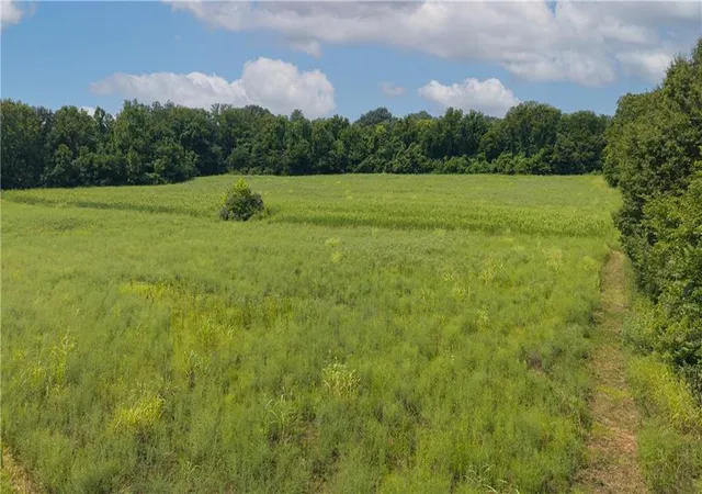 1st image of 000 N Hoover Rd, Buckner, MO 64016 | MLS# 2635083